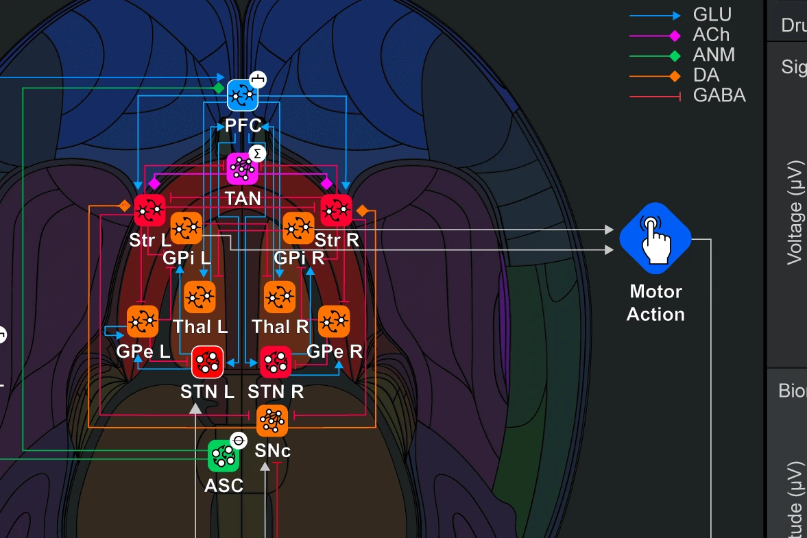 Neuroblox: a corticostriatal circuit for Parkinson’s, with drug, stimulus and deep-brain-stimulation inputs and live signal outputs